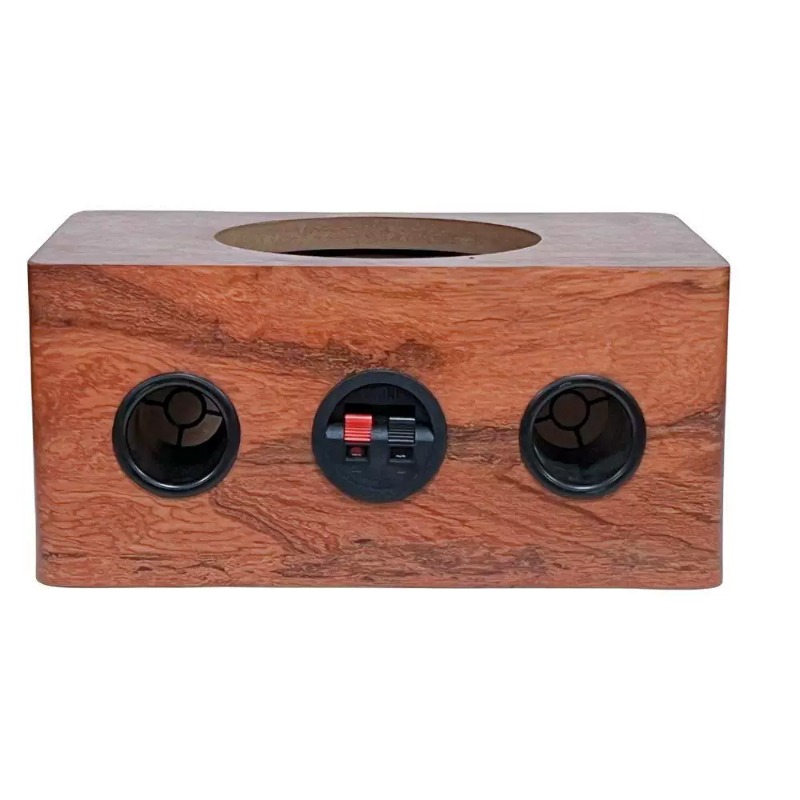 Musical Instrument Family - Grote 10-inch (23,5 cm) ultradunne plafondluidspreker,