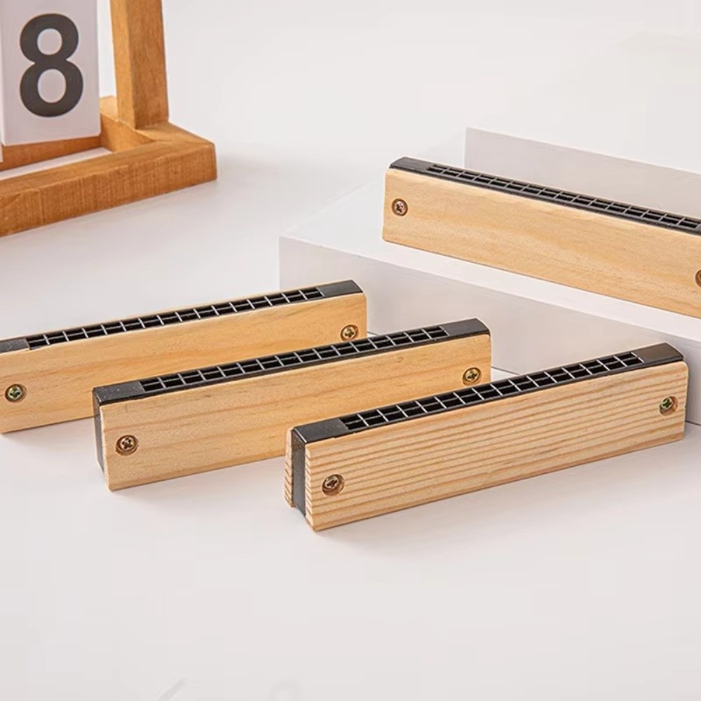 Musical Instrument Melodica - Creatieve DIY Kleine mondharmonica 16 gaten