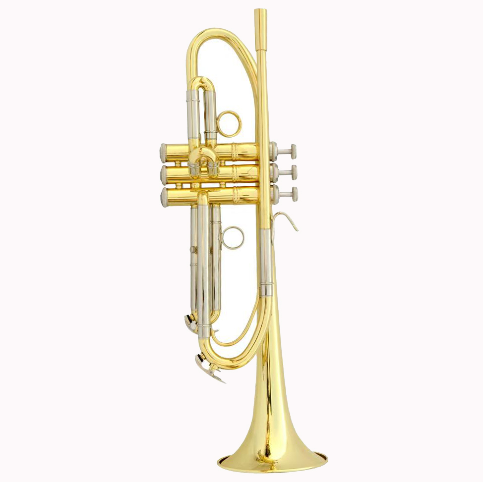 Musical Instrument Logo - Trompet op maat gemaakt, OEM-logo, geel