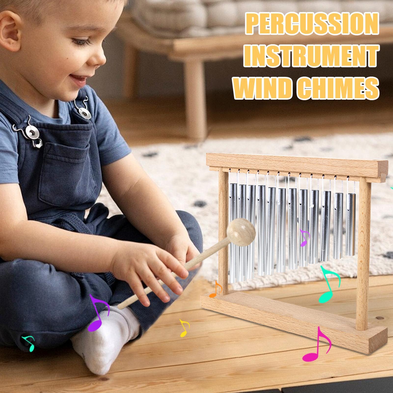 Muziekinstrumenten Educatieve  - Musical Instrument Family recensie en prijs