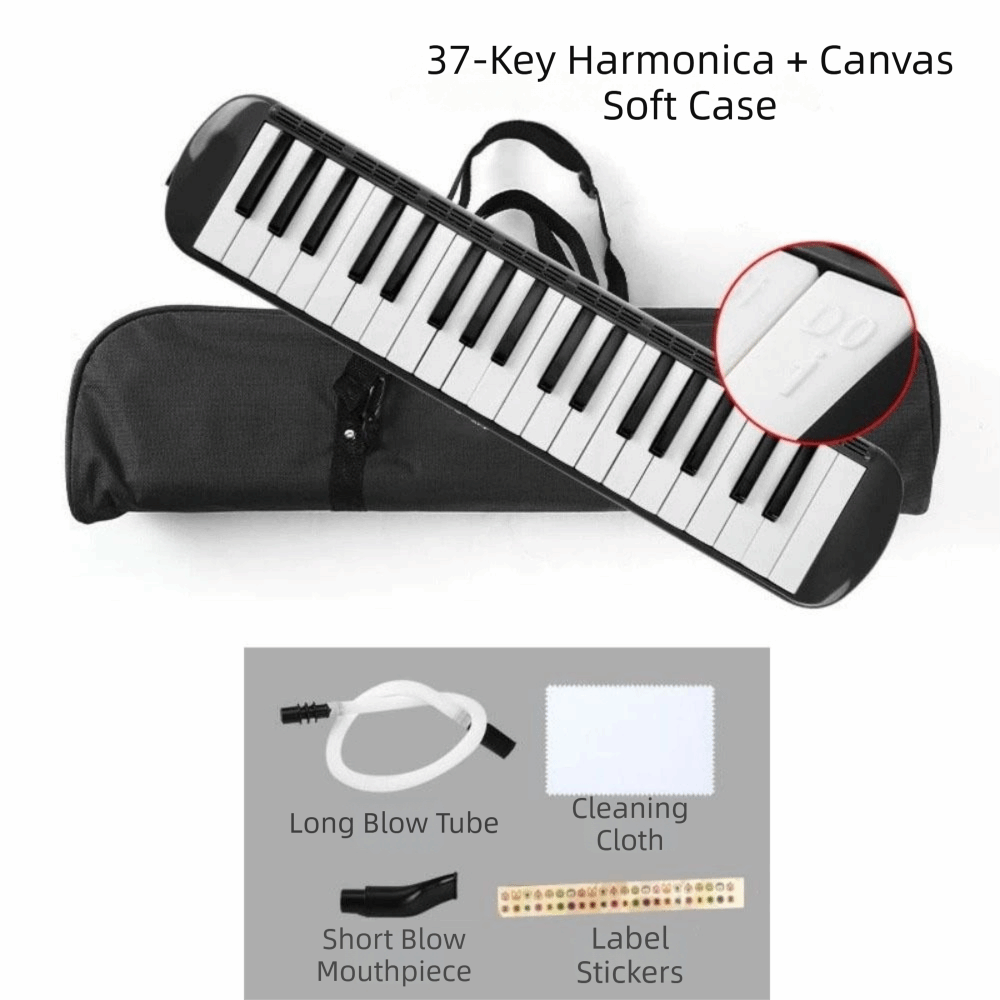 37 toetsen Melodica-instrument - Musical Instrument Melodica recensie en prijs