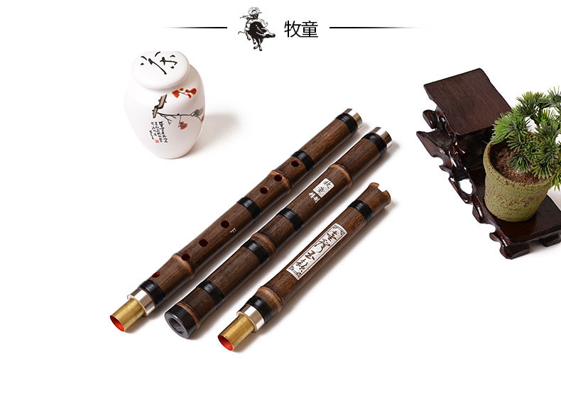 Chinese Bamboefluit Xiao Verti - Musical Instrument Xiao recensie en prijs