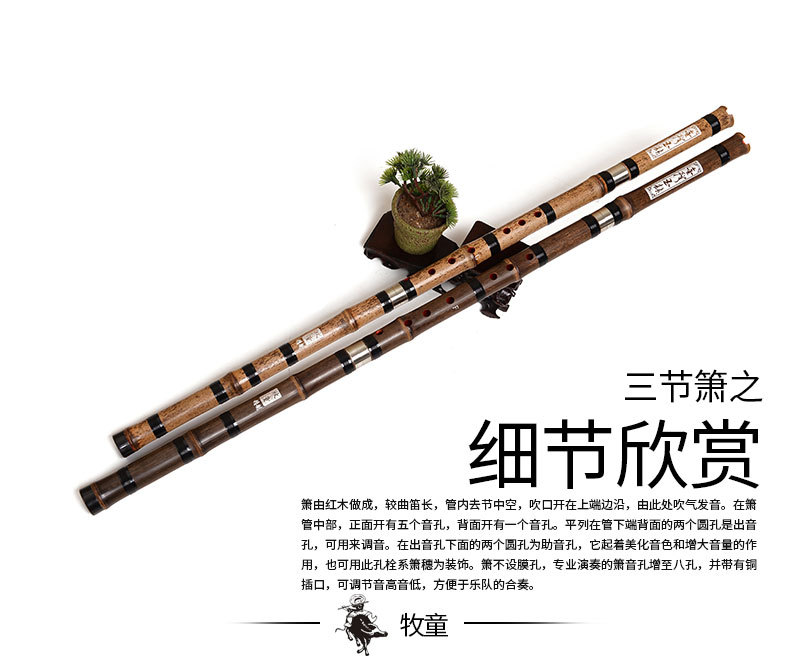 Chinese Bamboefluit Xiao Verti - Musical Instrument Xiao recensie en prijs