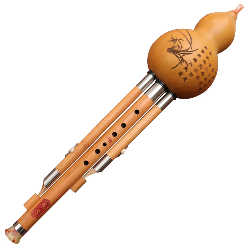 Nanzhu kalebas zijden muziekin - Musical Instrument Blow recensie en prijs