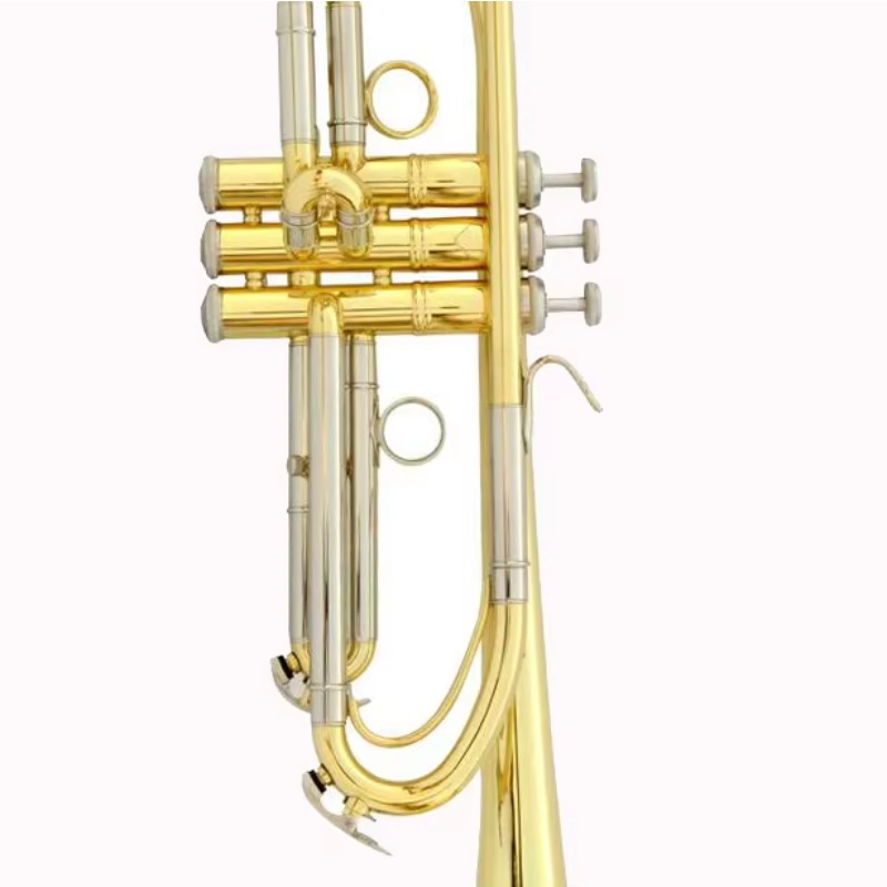 Trompet op maat gemaakt, OEM-l - Musical Instrument Logo recensie en prijs