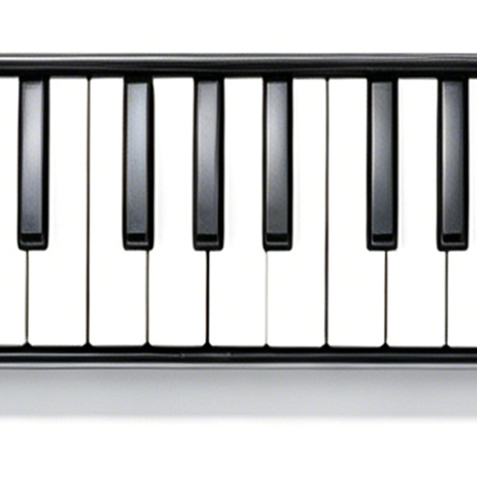 Melodica Instrument 32-Key Dra - Musical Instrument Melodica recensie en prijs